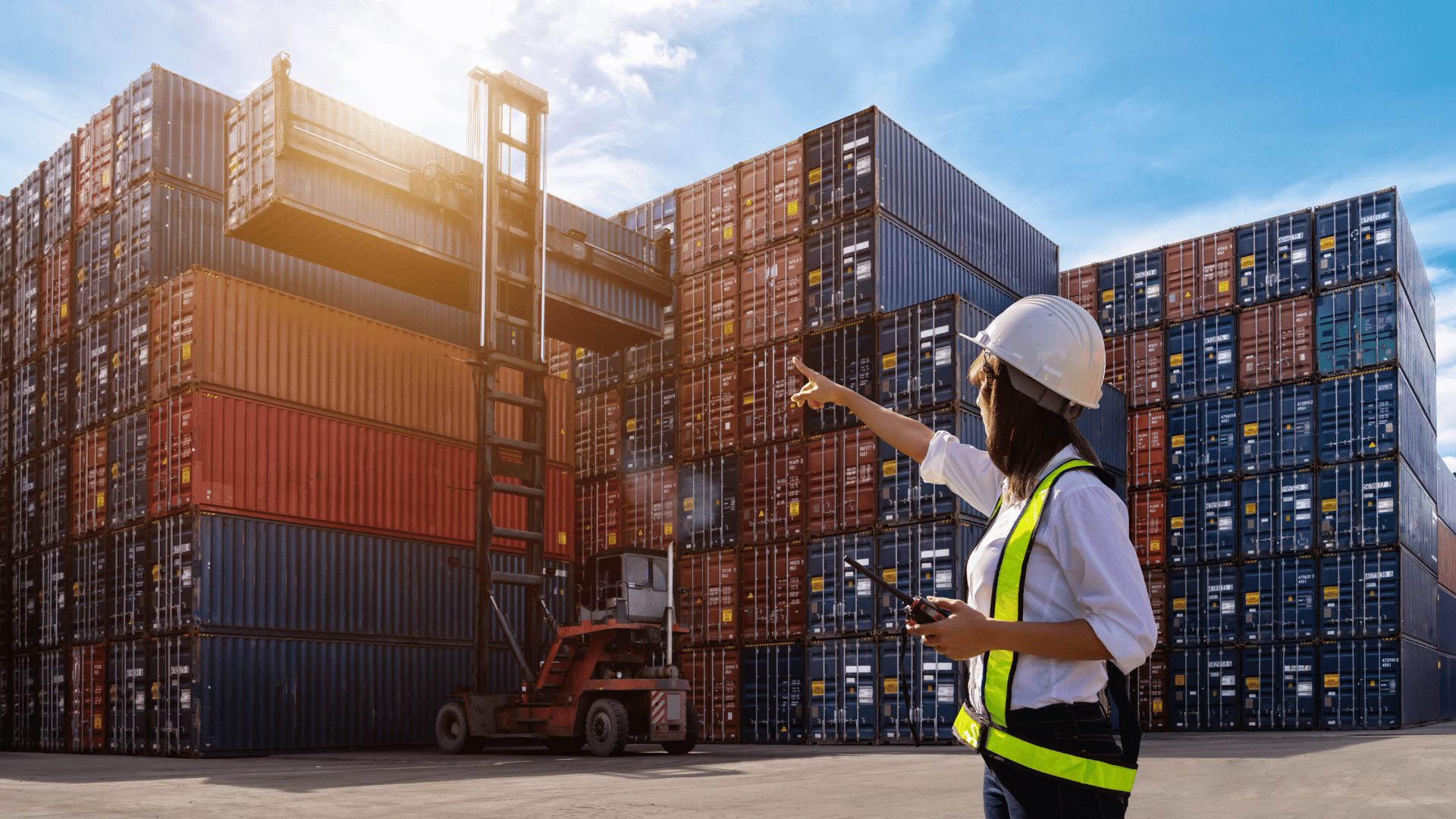 assistant-import-export